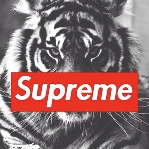 Meet your Posher, Joel